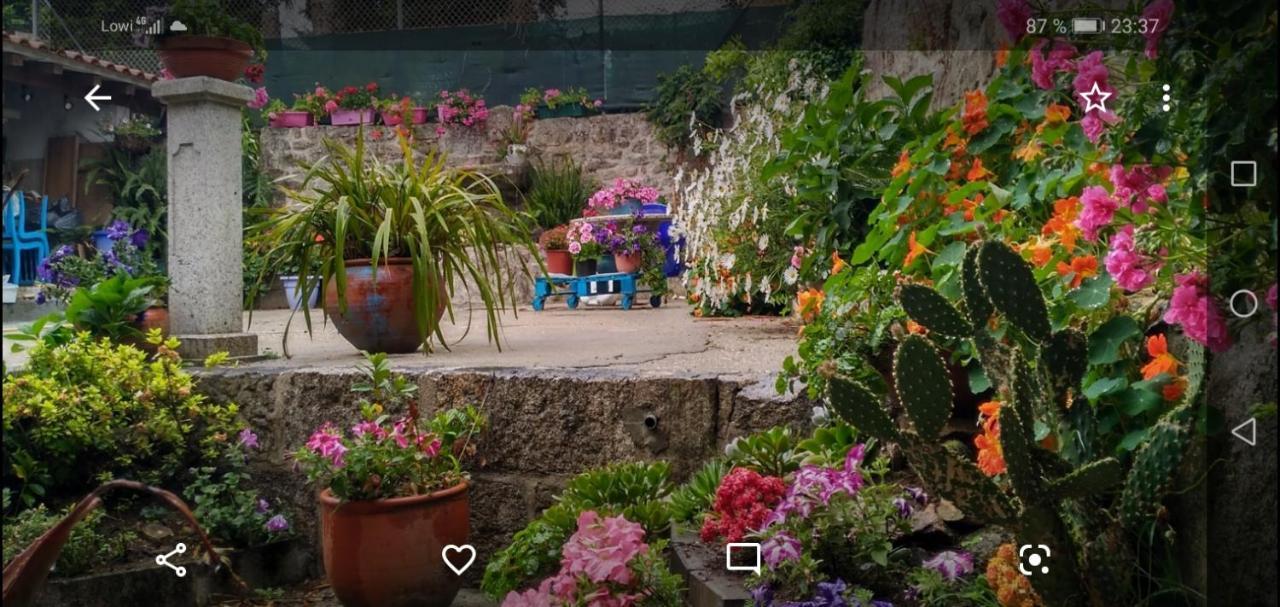 Apartamento Tui, Casa Da Barca Luaran gambar
